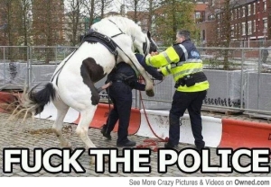 Hilarious Equestrian Law Enforcement Love